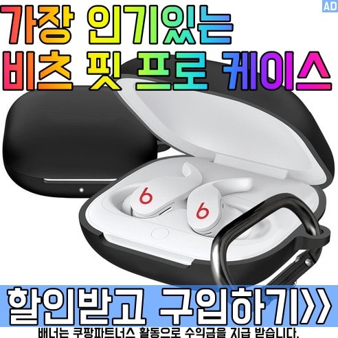 비츠 핏 프로 케이스