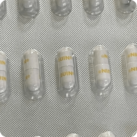 사이노퀸 가격